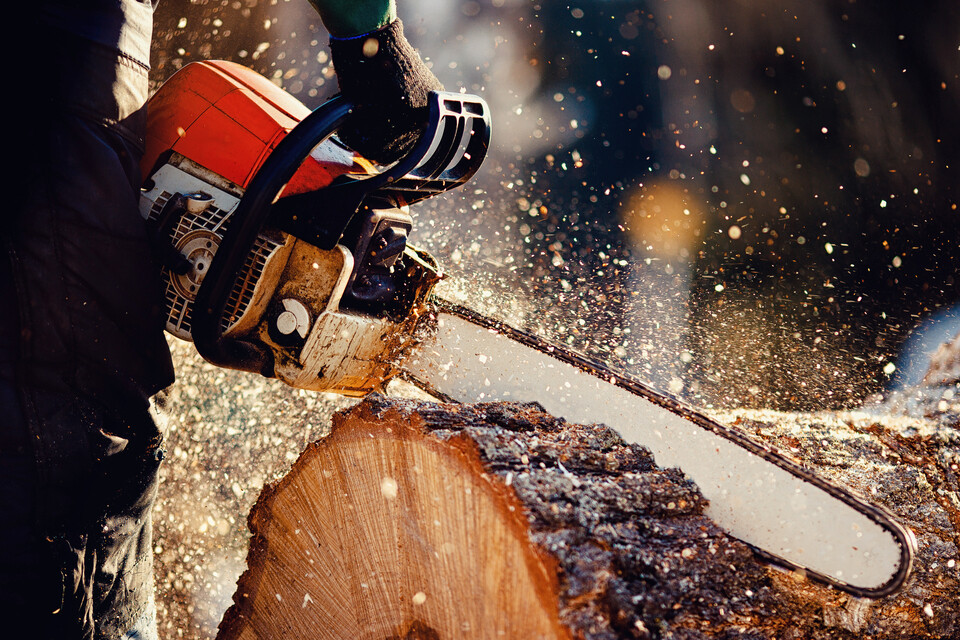Woodcutter,Saws,Tree,With,Chainsaw,On,Sawmill